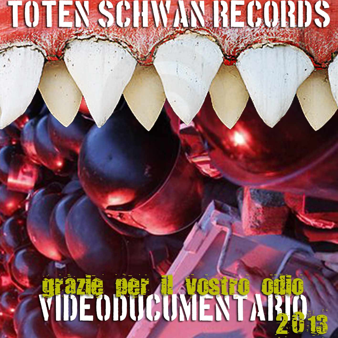 TOTEN SCHWAN videodocumentario
